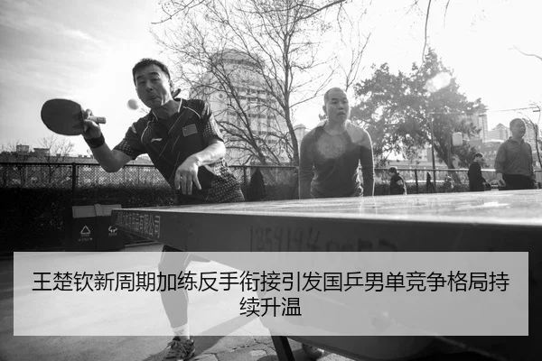王楚钦新周期加练反手衔接引发国乒男单竞争格局持续升温